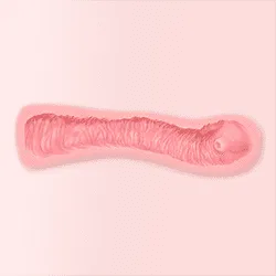 T1 – 17cm (6.7″)